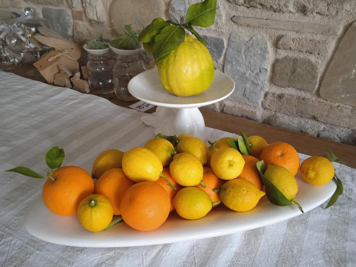 Bed & Breakfast Il Fienile